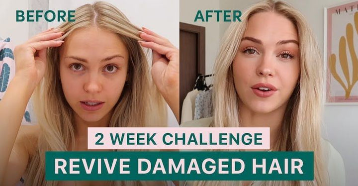 How I fixed my damaged hair in 2 weeks